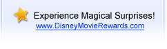 Experience Magical Surprises